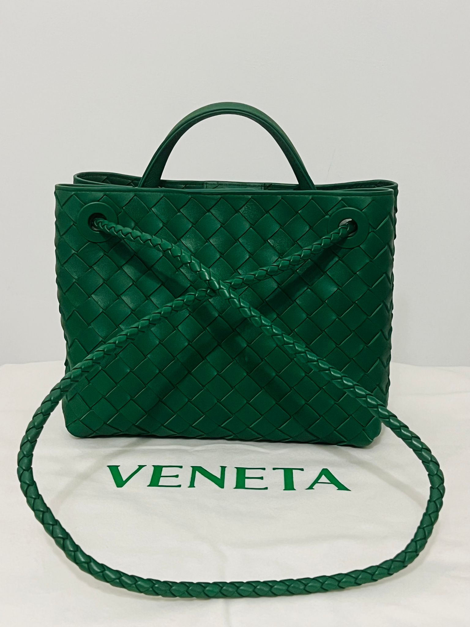 Bottega Andiamo small jungle