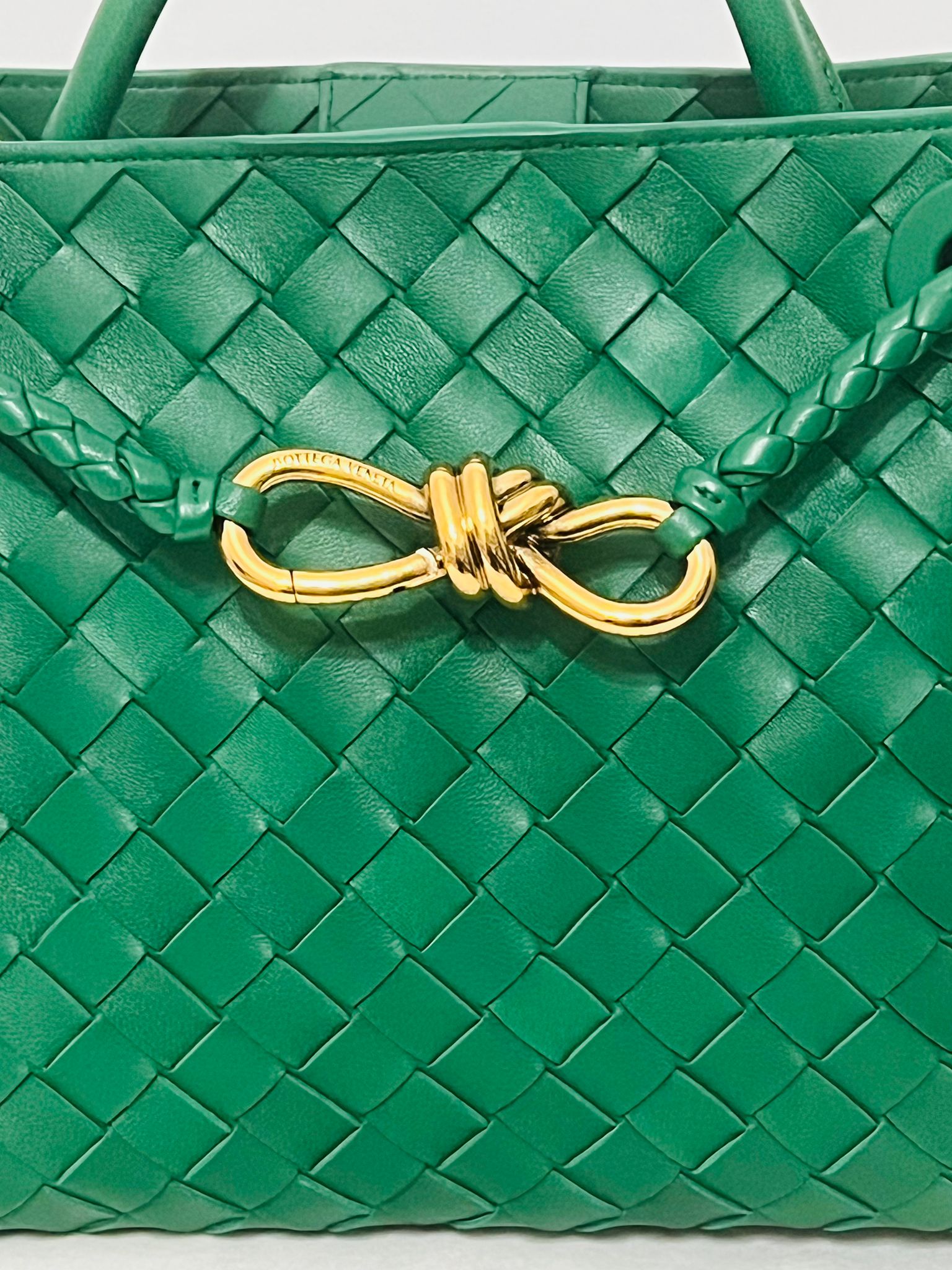 Bottega Andiamo small jungle
