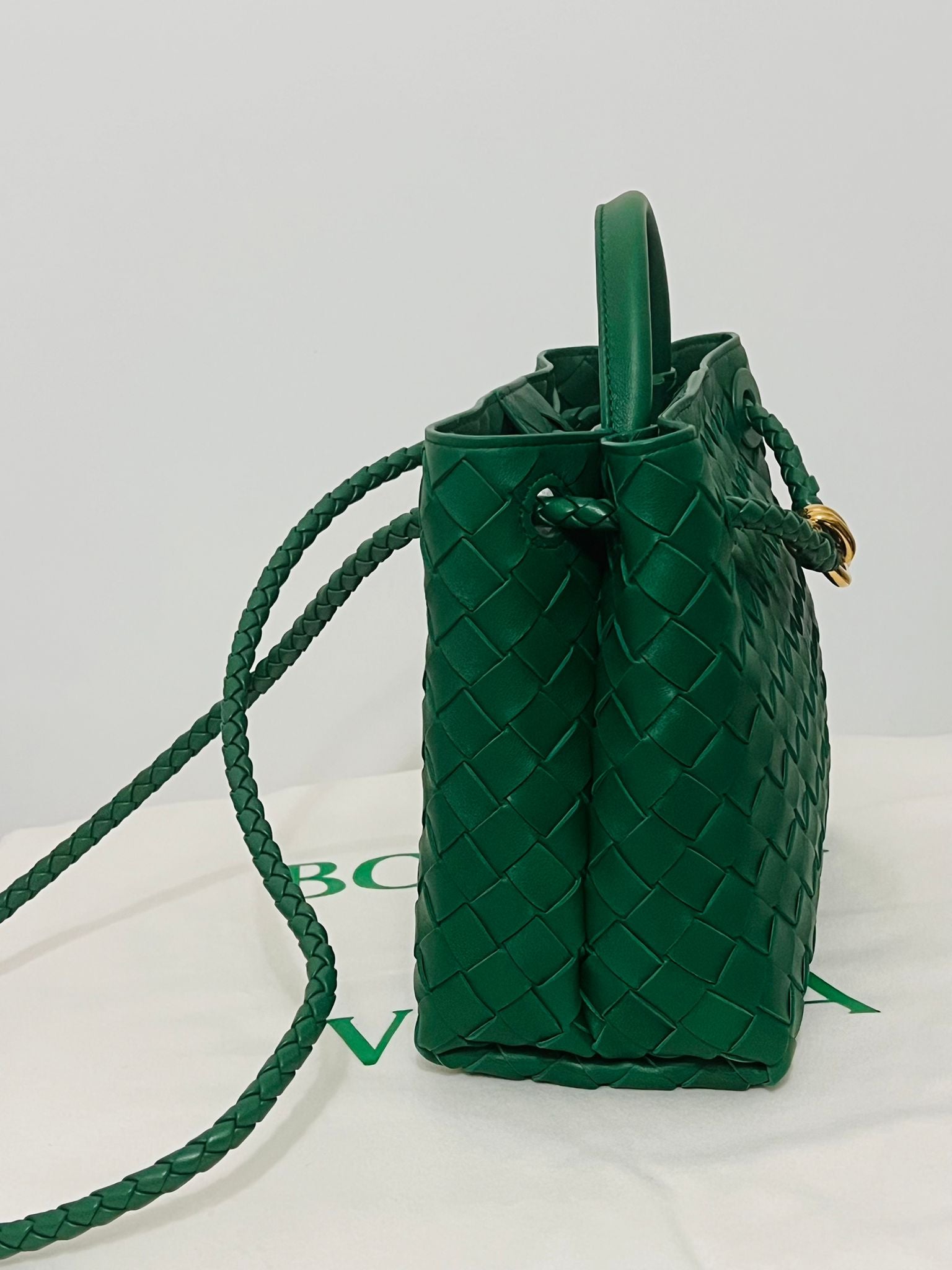 Bottega Andiamo small jungle