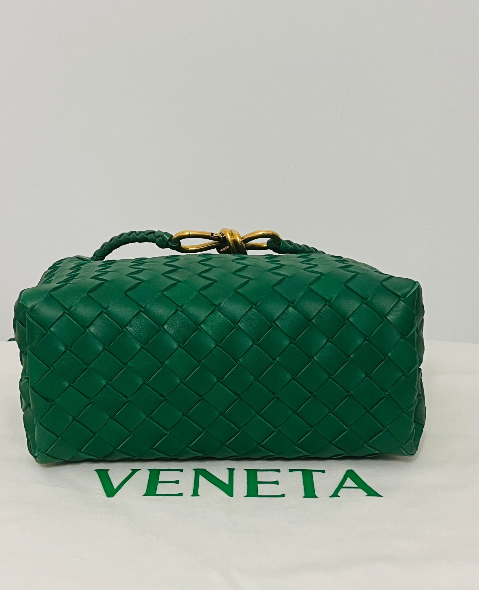 Bottega Andiamo small jungle