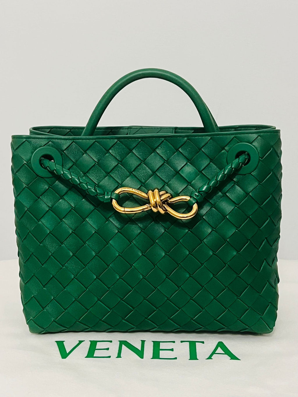 Bottega Andiamo small jungle